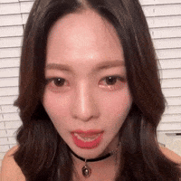 K Pop Cat GIF