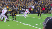 hawks GIF by University of Iowa Hawkeyes Athletics