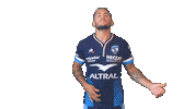 Celebration Top14 Sticker by Montpellier Hérault Rugby