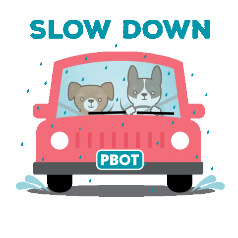 Dog Car Sticker by PBOT Info