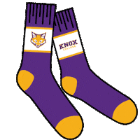 New Student College Pride Sticker by Knox College