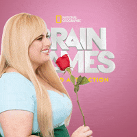 Brain Games GIF by National Geographic Channel