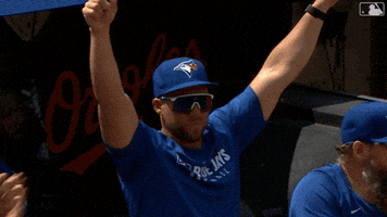 Lets Go Baseball GIF by Toronto Blue Jays