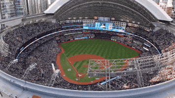 Canadian Baseball GIF by Toronto Blue Jays