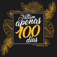 Meio Curso 365 Dias GIF by 100 Eventos