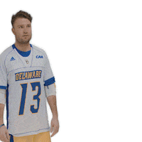 ncaa sports sport Sticker by Delaware Blue Hens