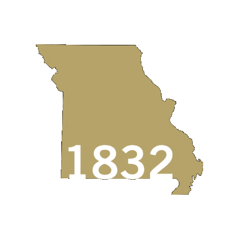 Gold Lions Sticker by Lindenwood University