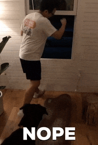 Garbage Throw Away GIF by I Love That For You