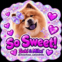 Comments Appreciate You GIF