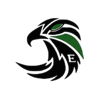 ExeterFalcons falcons flagfootball exeter bleedgreen Sticker