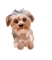 Dog Squad Team Sticker