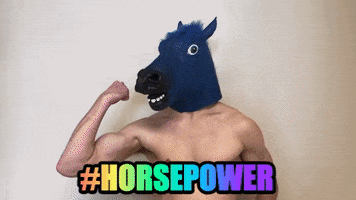horse power GIF by Mane 'n Tail