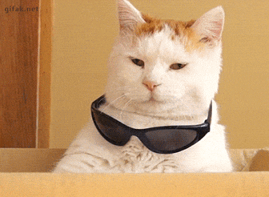 Rishabh258 giphyupload GIF