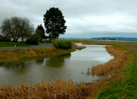 drmichaelpiepkorn giphygifmaker giphyattribution dr michael piepkorn GIF