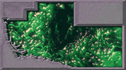 brains goo GIF by JANET40