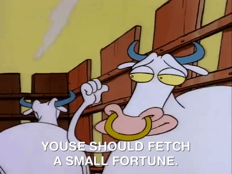 rockos modern life nicksplat GIF
