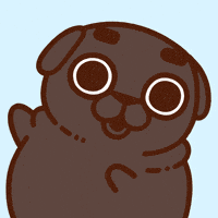 Look Here Omg GIF by Puglie Pug