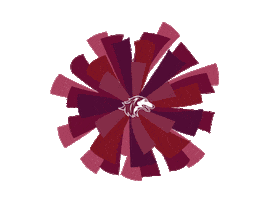 Cheer Dawgs Sticker by SIU Student Center