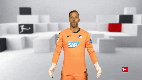 Tsg Hoffenheim Football GIF by Bundesliga
