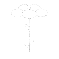 Art Design Sticker