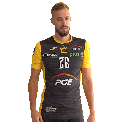 Belchatow Sticker by PGE Skra Bełchatów