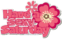 saturday STICKER