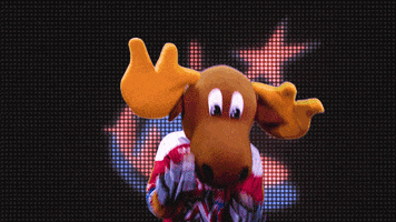 dab marty moose GIF by Newcastle Northstars
