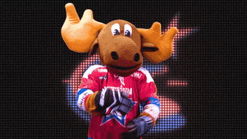 h thinking GIF by Newcastle Northstars