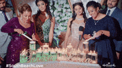 Party Hallmarkies GIF by Hallmark Channel