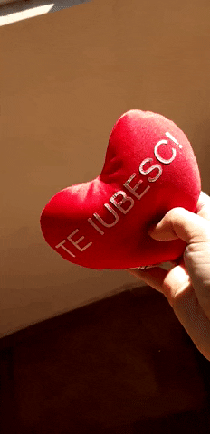 georgianafcodrescu giphyupload GIF