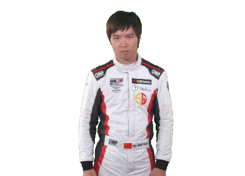 angry touring car Sticker by FIA WTCR