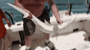 shark fishing GIF by Party Down South