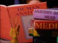 season 2 episode 13 GIF