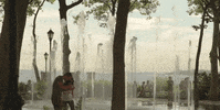 new york GIF
