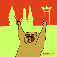 stick em up slow loris GIF by Animation Domination High-Def
