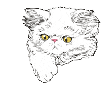 alohapersians cat fun cats chill Sticker