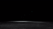Shiba Inu Burn GIF by SafemoonOfficial
