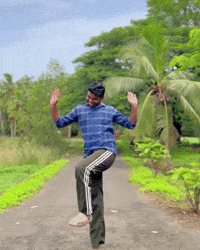 Dance Dancing GIF