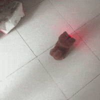 Lafufu GIF