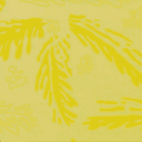 wingsart giphyupload sports fitness retro GIF