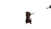 Ground Hog Sport Sticker by France tv