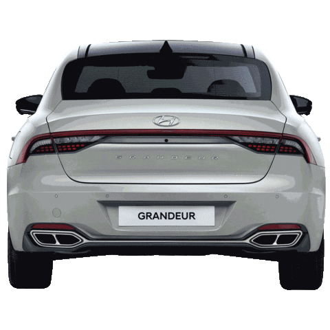 Hyundai_Korea giphyupload car trip drive Sticker