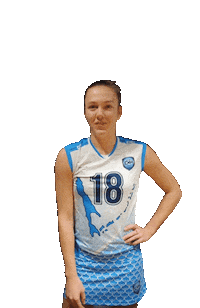 Touch Volley Sticker by Volleyball club Zarechie