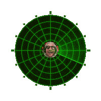 Track Looking Sticker