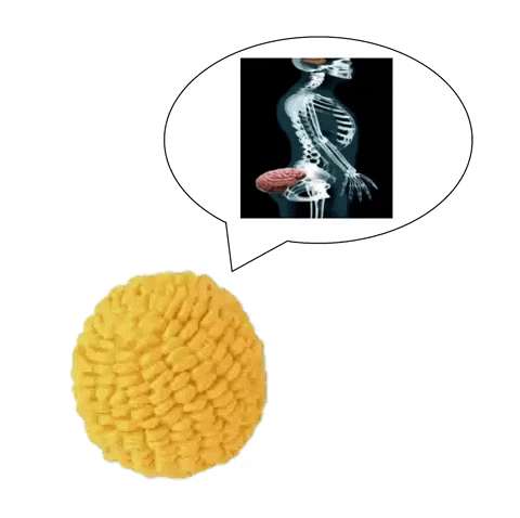 No Brain GIF