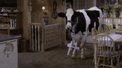 111 GIF