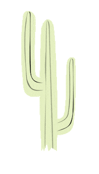 Illustration Cactus Sticker by HEJORGANIC