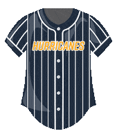 Softball Jersey Sticker by Georgia Southwestern State University