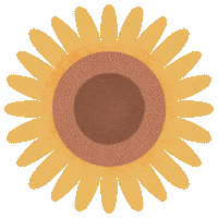 Sunflower Suncokret Sticker