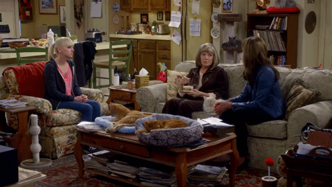 season 1 cotton candy and blended fish GIF by mom